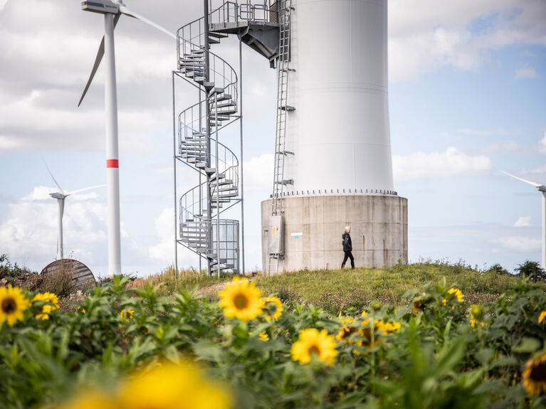 Erneuerbare Energien - Windenergie Windkraftanlagen mit Sonnenblumen im Vordergrund