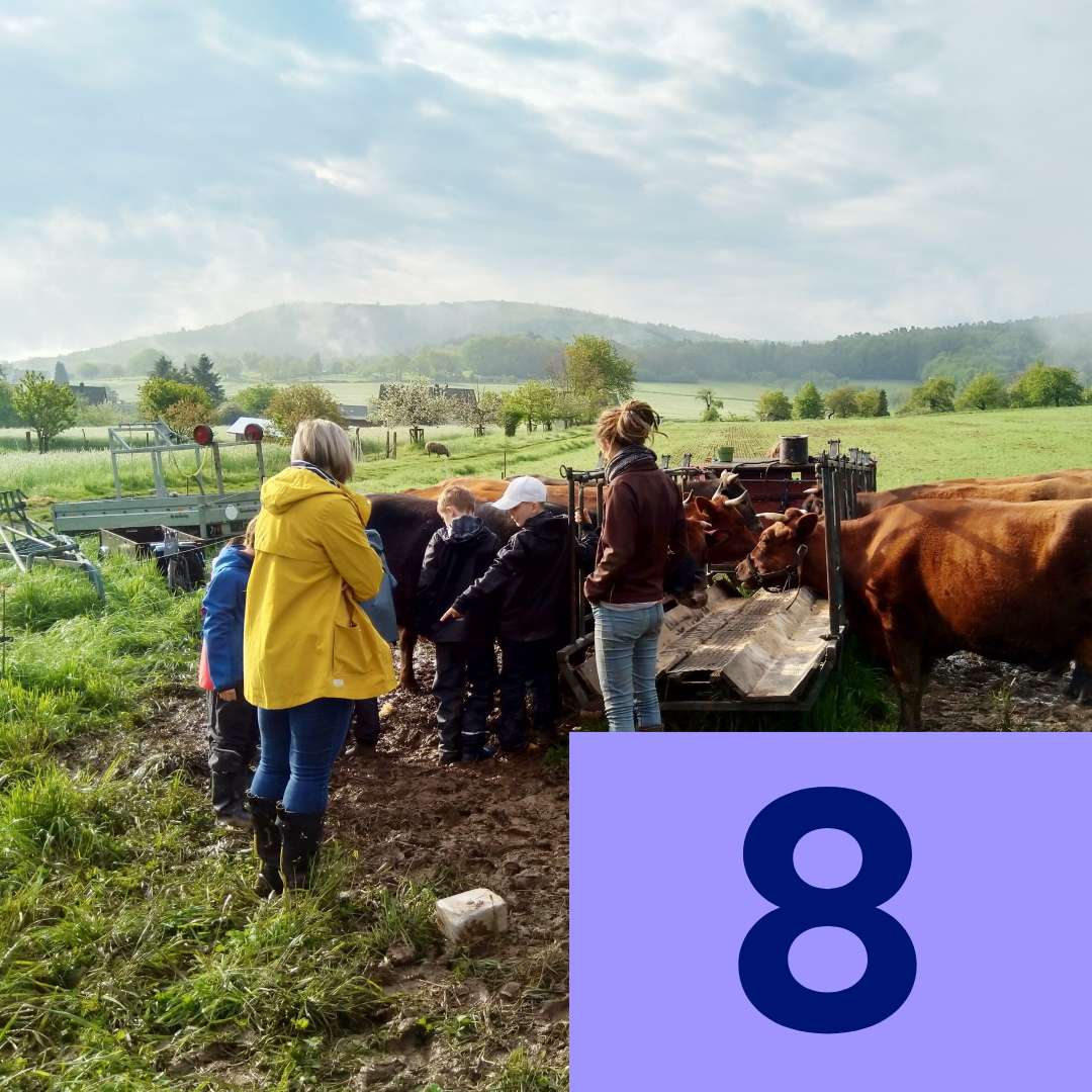 Türchen Nummer 8: Gruppe von Menschen mit Kühen auf einer Weide.
