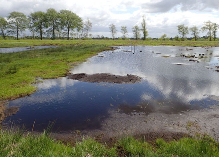 Mehr lesen zu „GLS Bank fördert Klimaschutzprojekte“