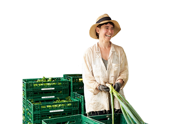 Gärtnerin von Tiny Farms packt Lauchstangen in Gemüsekisten