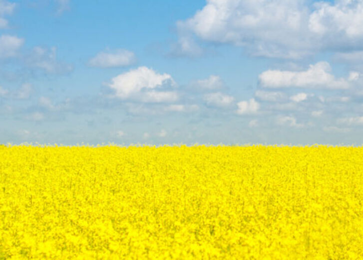 Mehr lesen zu „Hilfe für die Ukraine ja, Aufrüstung in Europa nein“