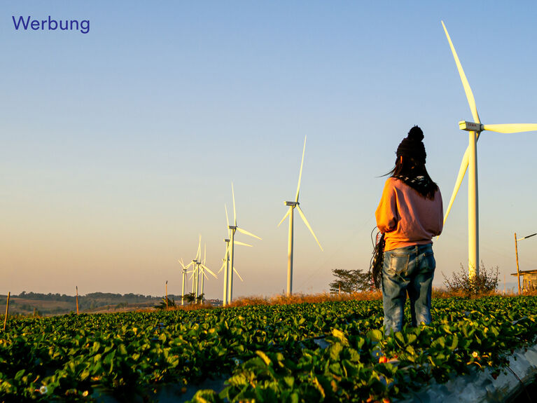 Eine Person steht auf einem Feld mit Windturbinen unter einem klaren blauen Himmel.