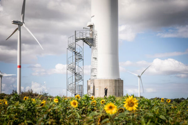 SozialBank Nachhaltigkeitsfonds Green Bonds Windpark mit Sonnenblumen im Fordergrund