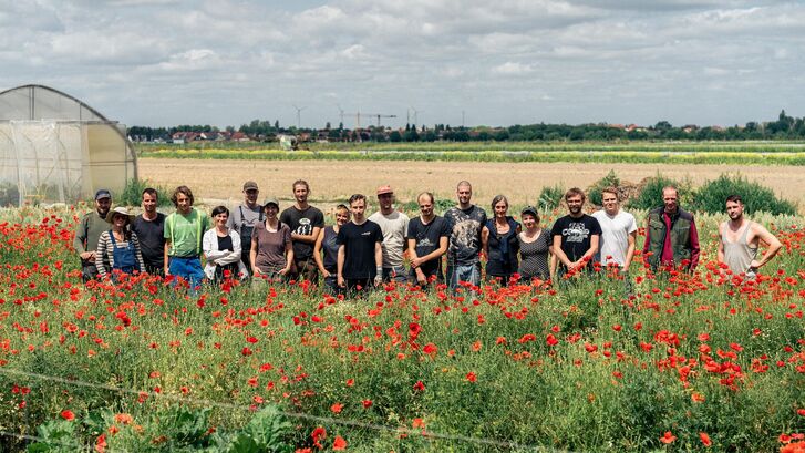 Menschen der solidarischen Landwirtschaft KoLa Leipzig auf einem Feld mit Mohn.