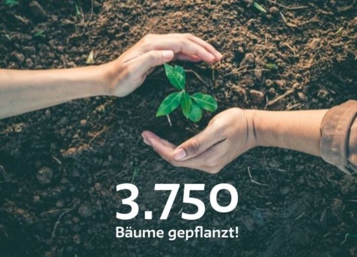 Mehr lesen zu „Geschafft: 3750 Bäume gepflanzt!“